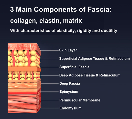 Massagista de Fascia multifuncional com EMS de aquecimento e controle de botão de terapia de luz vermelha